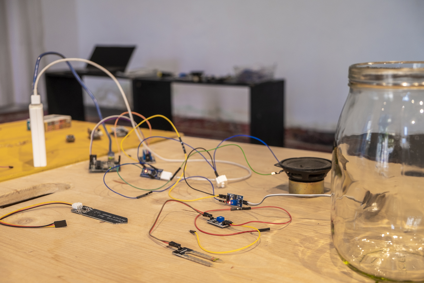 AMRO24 Exhibitions "Senzor Saikei", by Michal Klodner & Aliaksandra Yakubouskaya